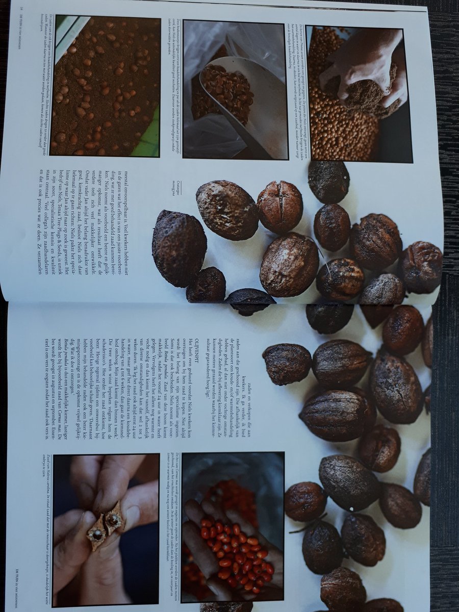 TenaxTreePlugs's tweet photo. Een prachtige reportage door Emiel van de Berg in het blad "De Tuin in 4 Siezoenen", nr 25, winter 2018. https://t.co/3qRxawCBt1