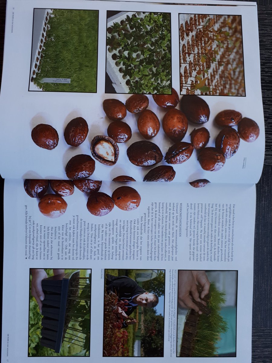 Een prachtige reportage door Emiel van de Berg in het blad "De Tuin in 4 Siezoenen", nr 25, winter 2018.