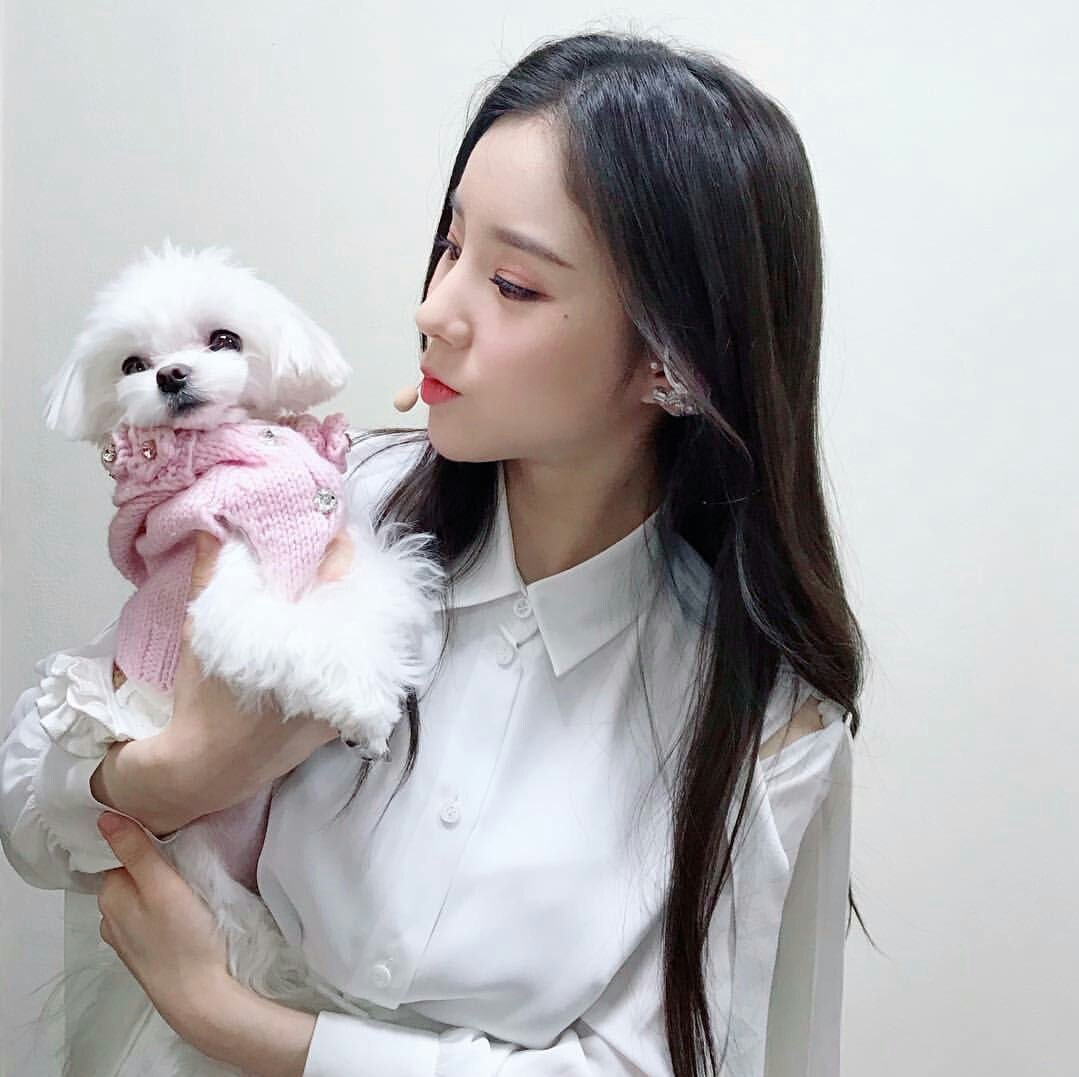 heejinjpeg's tweet image. 🐶