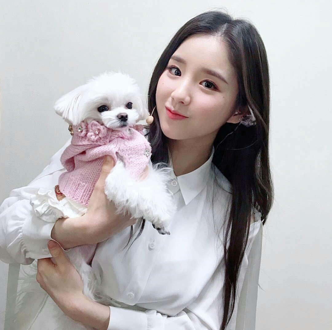 heejinjpeg's tweet image. 🐶