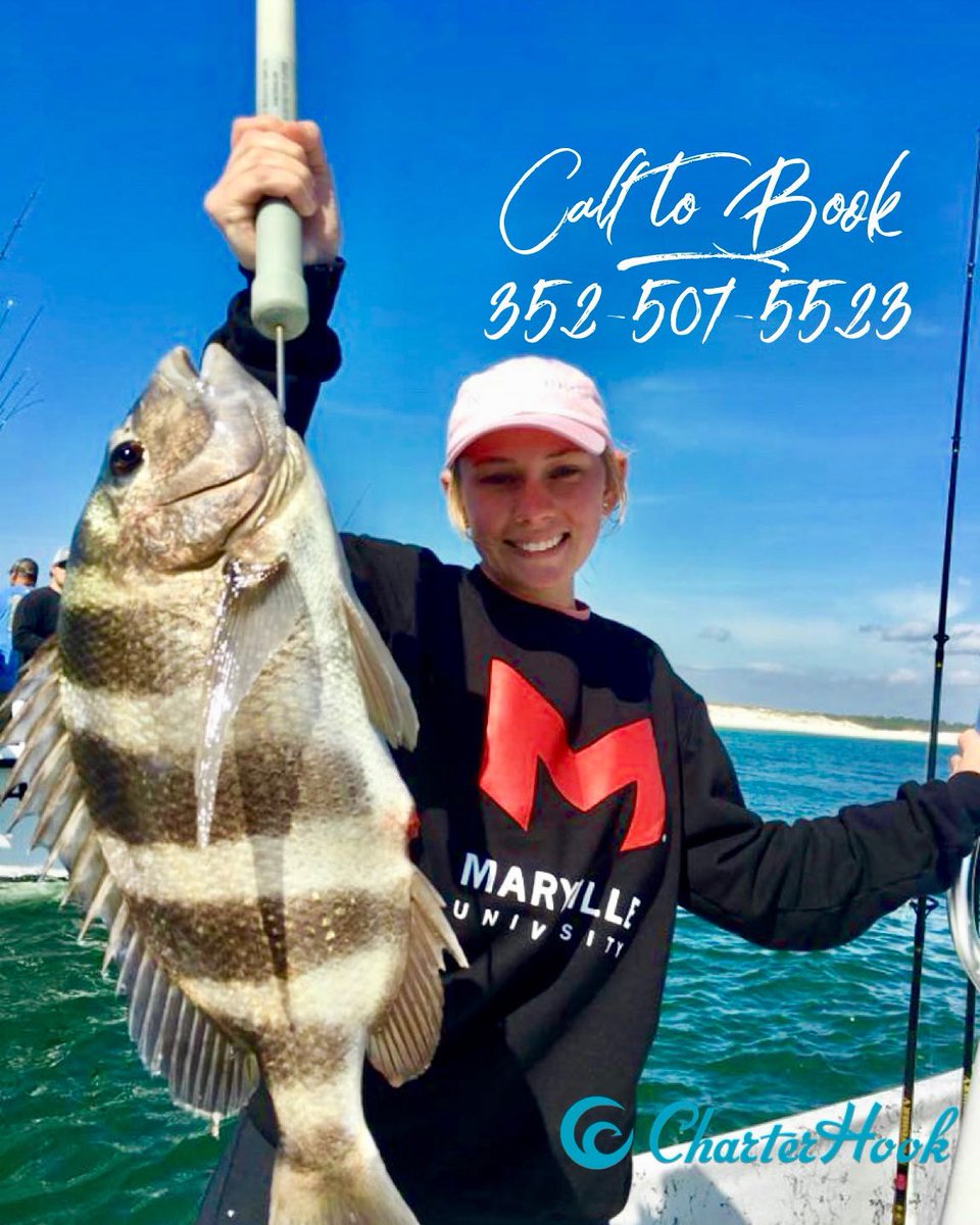 CharterHook's tweet image. Pensacola Beach, FL - Hot Fishing in March
Report with Captain Scooter Porto
🎣 bit.ly/Porto02192019
BOOK ONLINE OR CALL
👉 charterhook.com
🤙 352.507.5523

#charterhook #pensacola #florida #beach #saltwater #sheepshead #pompano #charterfishing #poweredbycaptains