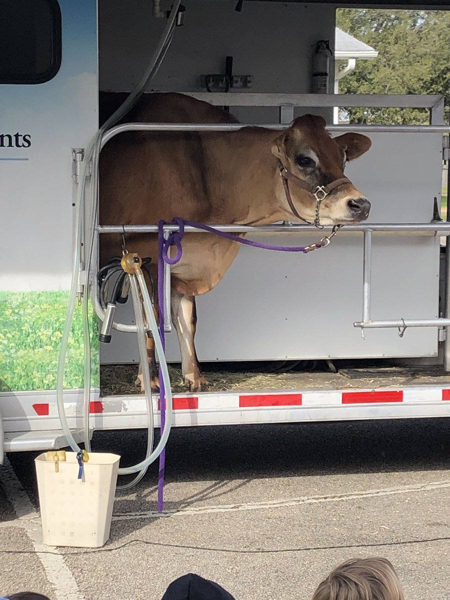 We enjoyed our visit from Southwest Dairy Farms today. It was interesting leaning about what it takes to be a farmer. #soaringin2nd