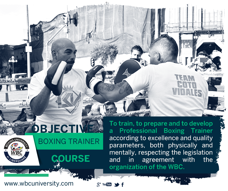 WBCUniversity tweet media