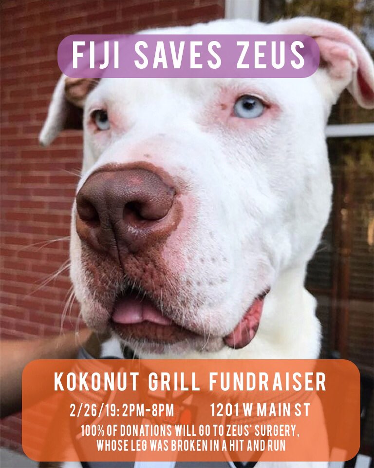 In case you haven’t heard, <a href="/Ryan_Hiser/">ryan hiser</a> dog, Zeus, was seriously injured in a hit and run the other week. We’re hosting a fundraiser at Kokonut Grill tomorrow, in which 100% of the proceeds will go to Ryan and his family to offset medical costs. Thanks to everyone whose supported!