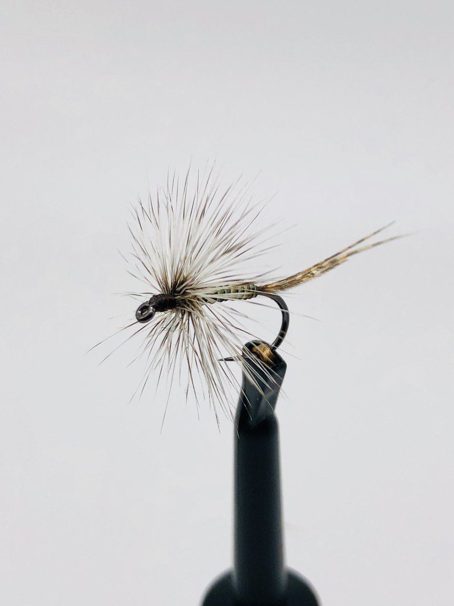 feedit1274's tweet photo. Dry flys on R7 hooks by Fly Life Company #flytyingaddict #flyfishingtrout #dryflys https://t.co/YWZCpLh2gb
