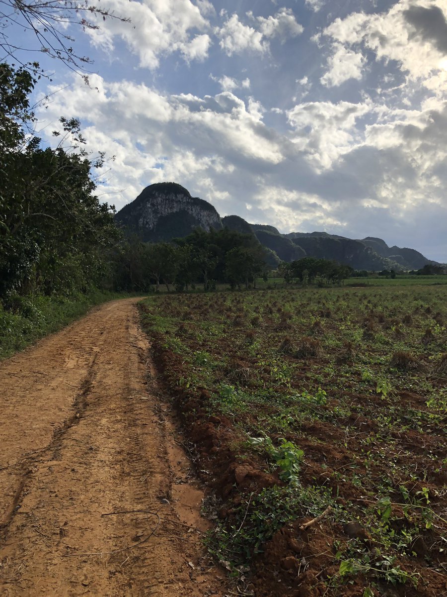 txantxu_txantxu's tweet photo. ¿Por qué siempre damos más valor a lo que damos por perdido que a lo que tenemos?
.
.
.
.
.
#buenasnoches #picoftheday #viñales #cuba #igerscuba #likeforlikes #soynomada #txantxu #naturaleza #frases #nomada https://t.co/8Fz4JFtEYT