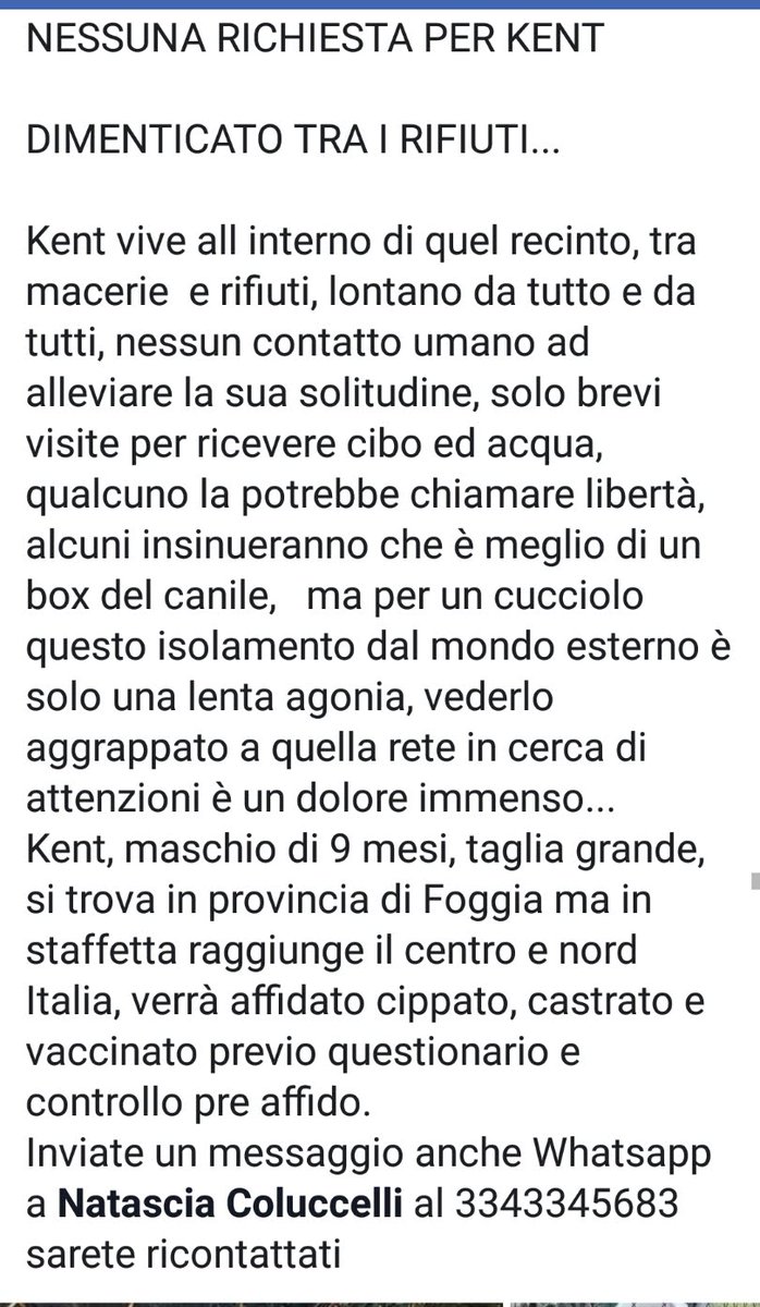 caniles_vieste's tweet photo. KENT, DIMENTICATO TRA I RIFIUTI ALL'INTERNO DI QUEL RECINTO TRA I RIFIUTI... https://t.co/TAgrhPuw5Y