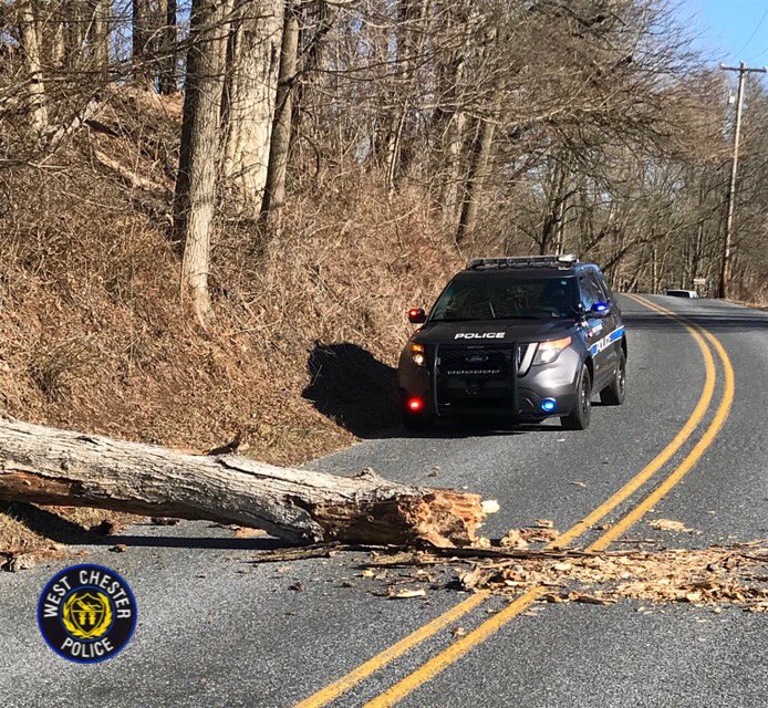 WCBoroPolice's tweet photo. It’s been a little windy around these parts today. Our officers have responded to many trees down in the area. Please use caution while driving and watch for debris in the roadway.
#WCBPD
#windy
#treesfalling https://t.co/uG7AY8WjvR