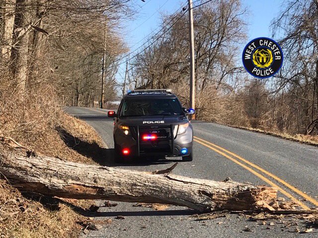 WCBoroPolice's tweet photo. It’s been a little windy around these parts today. Our officers have responded to many trees down in the area. Please use caution while driving and watch for debris in the roadway.
#WCBPD
#windy
#treesfalling https://t.co/uG7AY8WjvR