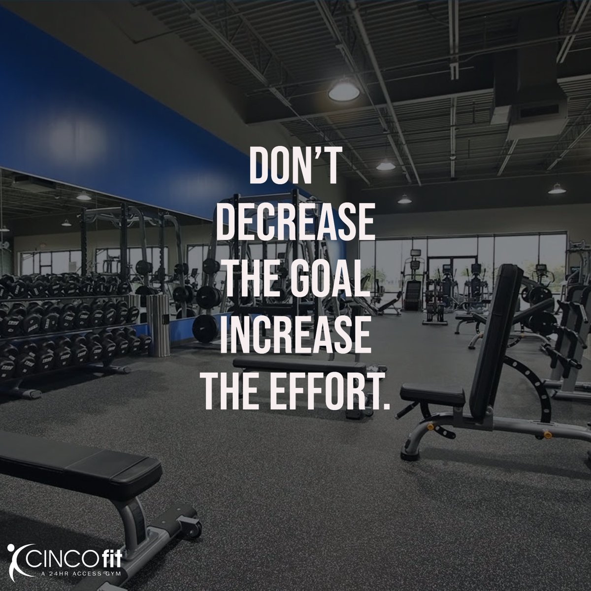 cincofit's tweet photo. https://t.co/sbFPqtY15R