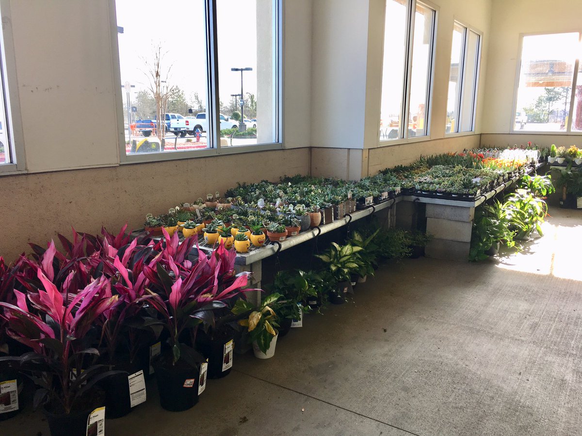 PPSLinda's tweet photo. HD 1108 East Spartanburg SC #timetoplant #springperennials #indoorplants @PPSinHD @PNewtonPlants @erinnratliffhd @BobbyBoaenTHD @DyerEric18 @Stephen_E_Camp @DanielHortonTHD https://t.co/zUmdXLUuFP