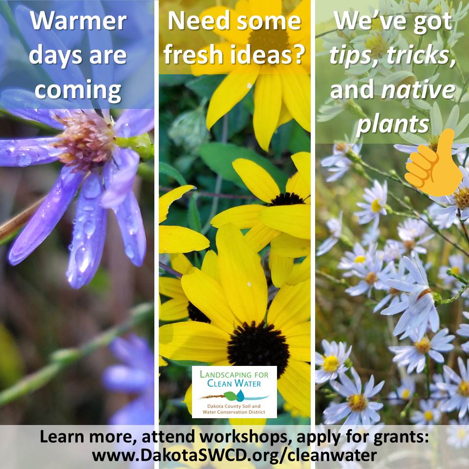 dakota_swcd's tweet photo. Our first FREE #LandscapingforCleanWater class of the season is coming up on Monday, March 11 in @FarmingtonMN! This hour-long class is from 6-7 pm and will introduce you to raingardens & native plants, plus get you access to grants! Pre-register: https://t.co/ufvF9Rffjb https://t.co/gfHalOWoEb