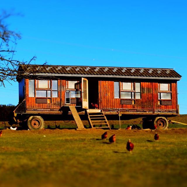 jeff_Jas's tweet photo. Der Hühnerstall an der #Burgruine #Eibach würde auch bei #AirBnB gut laufen. 😜 ☀️
.
.
.
.
.
🌳☀️🌳
#wald #frühling #bergischesland #bergisches #nrw #meinnrw #deinnrw #visitnrw #germany #deutschland #wandern #wanderer #wanderliebe #wanderung #outdoor #naturephotography #reisel… https://t.co/R9Cu88qCHG