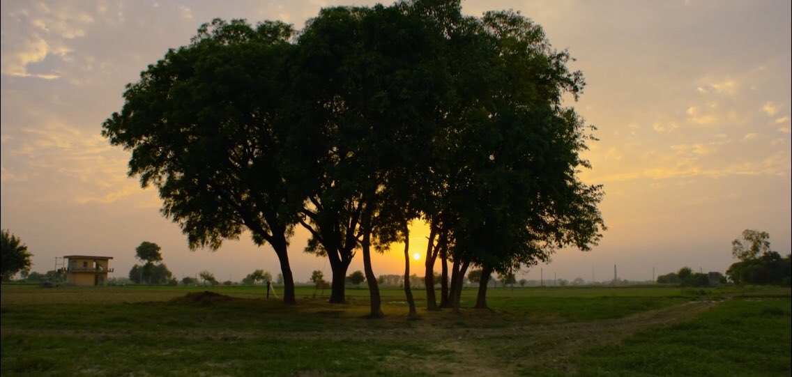 period. end of sentence. (2018); directed by rayka zehtabchi