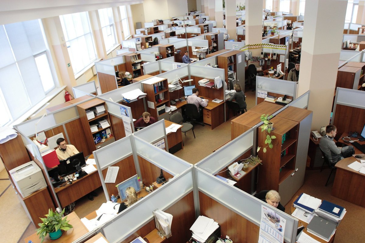 OFAssemblers's tweet photo. Office Cubicles Installation service in Washington DC, MD and VA
https://t.co/JqxWBNRTlT
#officefurnitureassemblers #assembly #installation #office #officeoffice #officeassembly #officelife #officechair #officedesk #officetable #officedesign #officeinstallation #dc #md #va https://t.co/tuYWj2HBmD