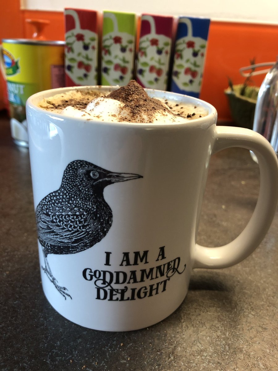 New mug, description on point @EffinBirds 😁 #effinbirds #morningcoffee #newmug #birthdaymug