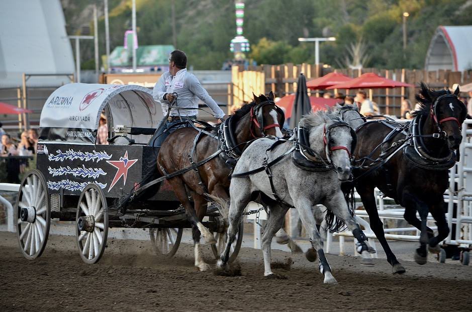 CS Chuckwagons & Relay tweet media