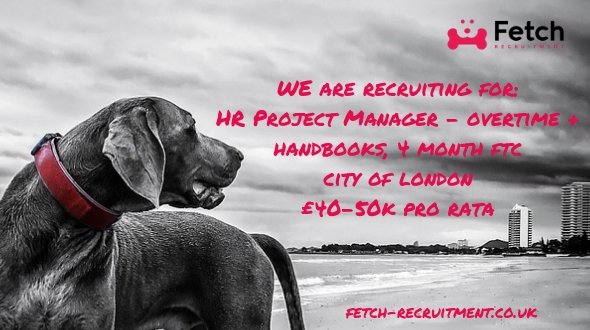We are looking for a HR Project Manager who is available straight away to help with a couple of projects around employee handbooks and overtime.

It is 4 month fixed term contract initially paying up to £50k in the City of London.

For details/to apply: ow.ly/Gm0l30nPsrs