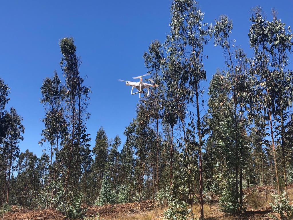 conaf_minagri's tweet photo. Con una demostración de uso de drones, finalizó jornada en terreno de expertos internacionales en tala ilegal y comercio asociado en la Reserva Nacional Lago Peñuelas. #APECCHILE2019 #EGILAT #ChileLoProtegemosTodos https://t.co/HgZUftQ4z9