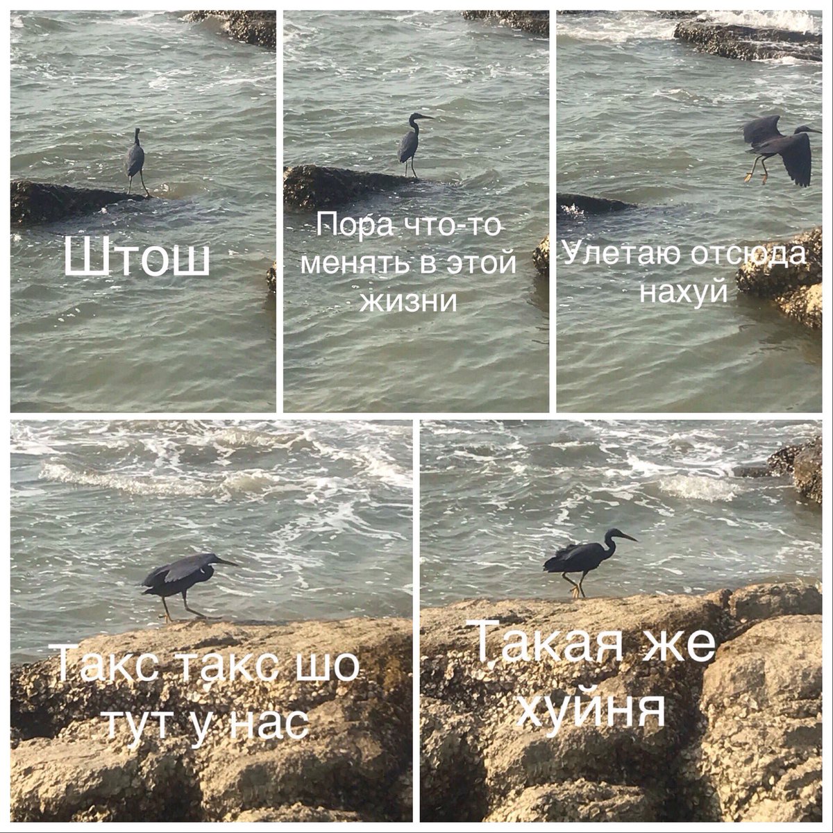 О переменах:
