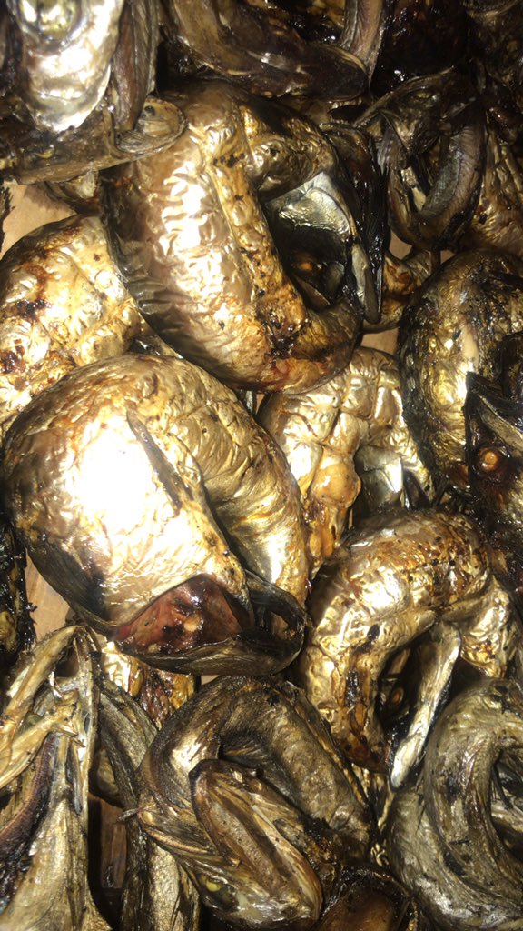 Mzcapitaldiva01's tweet photo. @inecnigeria While everyone is still waiting for the results, please come and buy freshly smoked fish at a very affordable price ..#catfish #panla #titus https://t.co/NEJAJ37Mcv