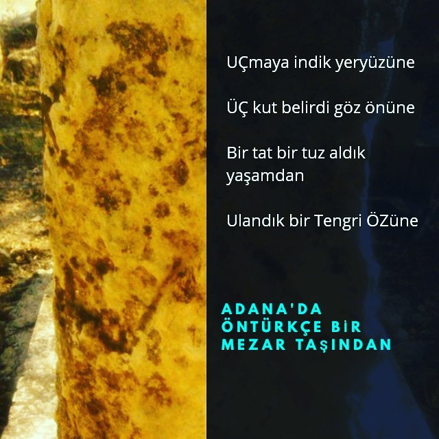 Tarih Türkler ile başlar
#öntürk #Türk #adana