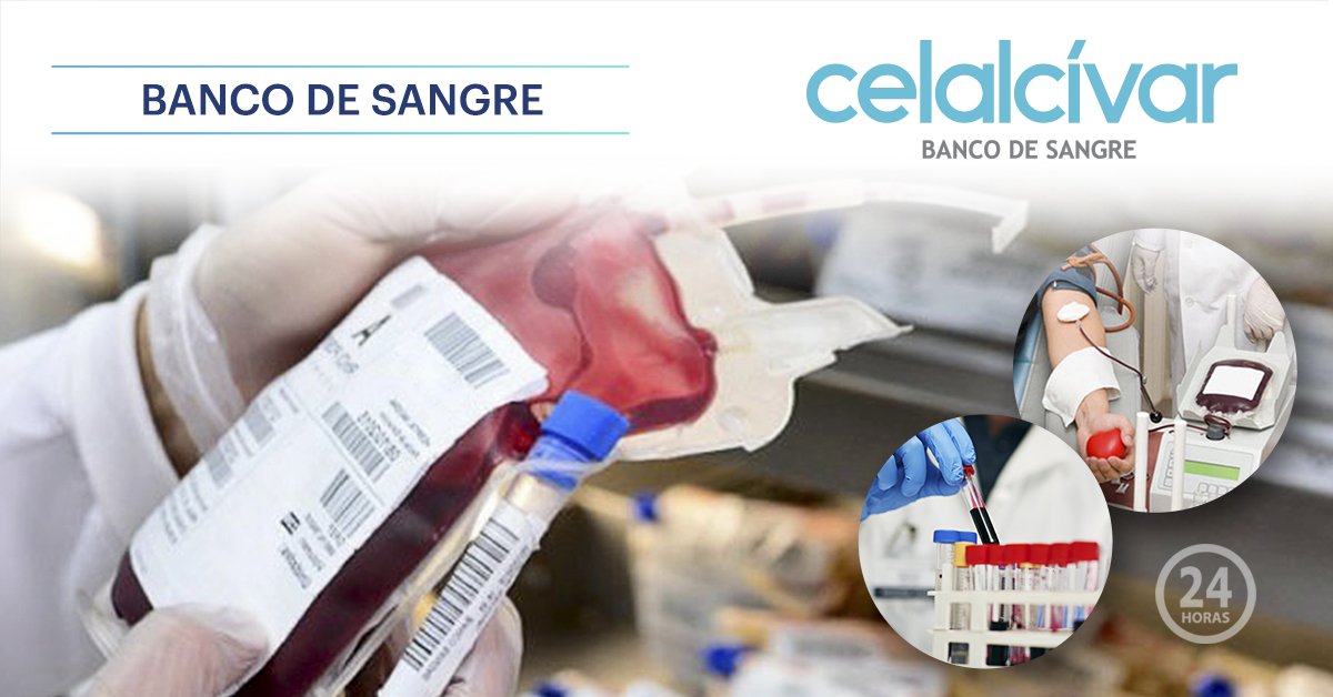 HospitalAlcivar's tweet photo. Banco de Sangre Celalcívar brinda un servicio terapéuticamente efectivo, con componentes sanguíneos de excelente calidad y la máxima seguridad transfusional. #sangre #CellSaver #Plaquetas #GlóbulosRojos  #BancodeSangreCelalcivar  Pbx: 3712075 ext: 1962-1975 @HospitalAlcivar https://t.co/KcWSte7gVl
