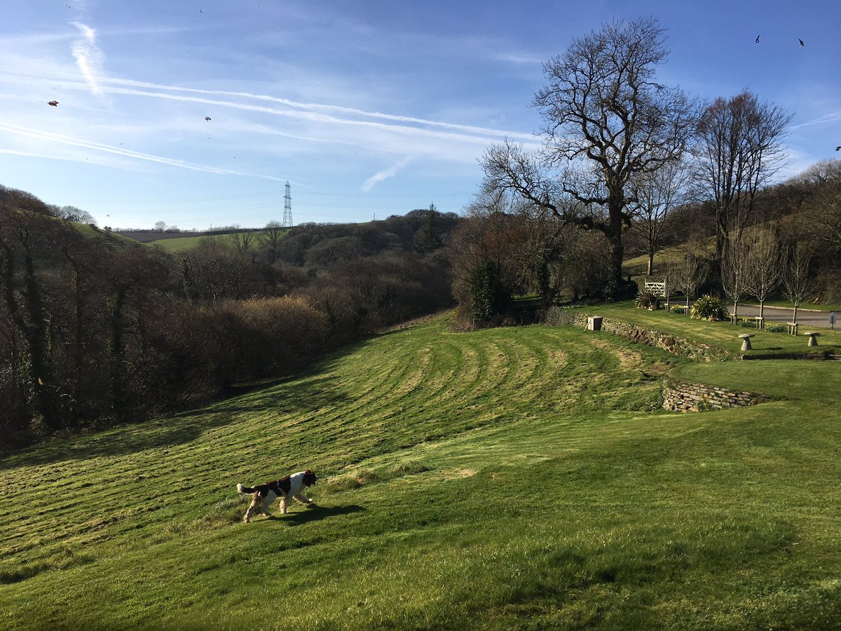 pengennamanor's tweet photo. WOW what a cracking day it has been! Warmest Feb temp on record apparently. Perfect day for us to emerge from our social media cocoon of the last few months! What have we been up to? Stay tuned to our Instagram this week to find out more... (https://t.co/ijh0tqt5JY) https://t.co/UaEK4B5lwP