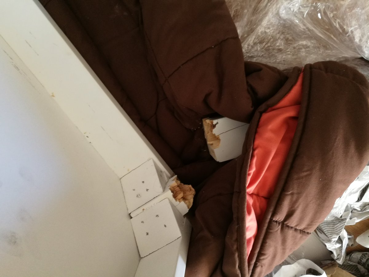 Basta de Excusas tweet media