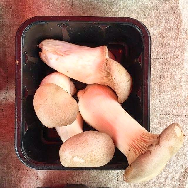 FRESHFARMCoHi's tweet photo. King Mushrooms was back at the market this weekend with some of their fun fungis. If you missed them, catch them again next Saturday! https://t.co/S90N06eSEz