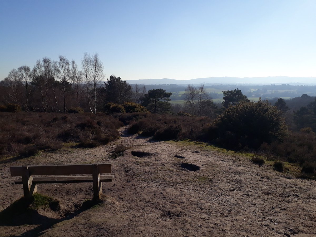 Ranger_sdnpa's tweet image. Feels like summer on the heaths already! @BBCSpringwatch #HesworthCommon #SouthDowns #helptheheaths   #summeriscoming #MondayMotivation