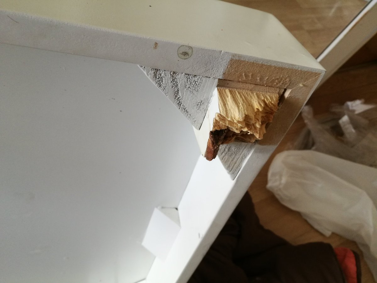 Basta de Excusas tweet media