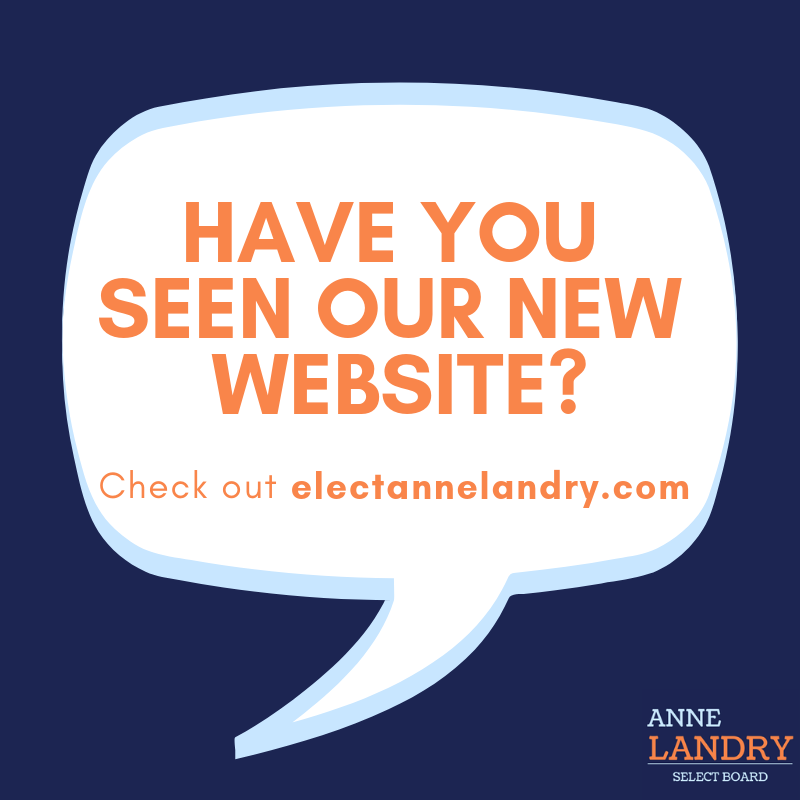 AnneforReading's tweet image. We have a new website! Visit electannelandry.com to follow along with our campaign #AnneforReading #SelectAnne