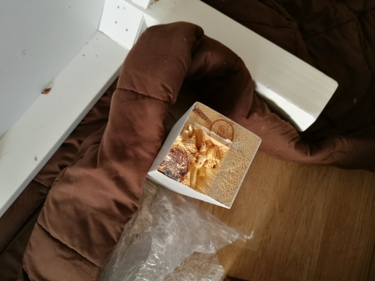 Basta de Excusas tweet media