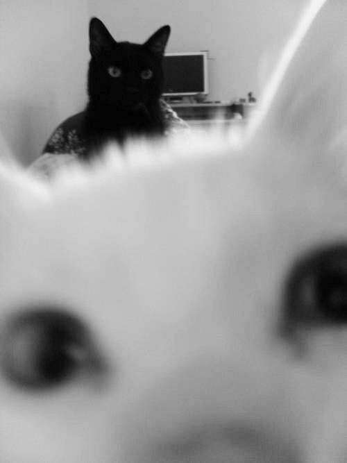 EllyNattdis's tweet photo. #Feierabend
#sofazeit https://t.co/vM7goJ1fUb
