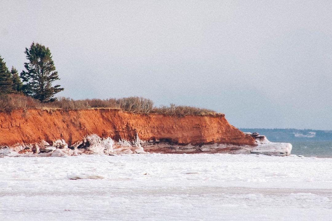 PEIFerries's tweet photo. There's lots to love about #PEI. The red cliffs, the blue skies—we've got it all. Come and see the natural beauty of this island with a trip onboard #NFLFerries this spring.
📷: @withislandeyes
/www.ferries.ca/explore/pei/ https://t.co/zZd2zpTlRU