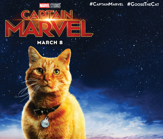 TreeHouseCats's tweet photo. Hey Marvel-ous Chicago cat-lovers! Announcing our purrfect partnership with @MarvelStudios in a celebration of feline heroine Goose the Cat!Check back later this week for more about our SUPER Saturday giveaway! #CaptainMarvel #Marvel Studios #TreeHouseCats #TreeHouseHumaneSociety https://t.co/grrlavB4x2