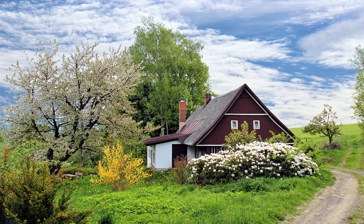 freetravelbk's tweet photo. πhttps://t.co/sgtyF1U7tR
Lovely Spring cottage to stay
#traveller #travelpics #travels #travelgram #travellife #traveladdict #traveling #travelphoto #adventure #adventuretime #holiday #holidayseason #tourist #tourism #nature #naturelovers #qvary #freetravelbooking https://t.co/sZyP3CCeTq