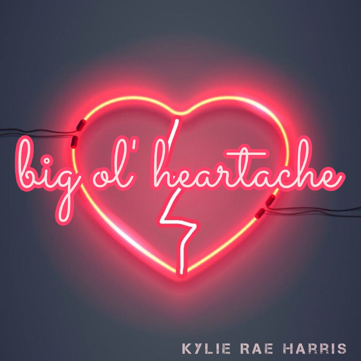 BlueLarkEnt's tweet photo. Kylie Rae Harris up over 5000 streams on #Spotify! https://t.co/dNq6nhVdMu https://t.co/z1GyVEHEtO