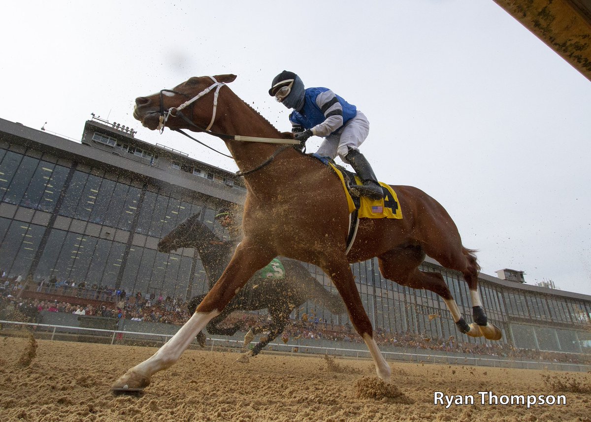 RyanFromChicago's tweet photo. The many angles of Laughing Fox and @RSantana_Jr winning the 5th race @OaklawnRacing on February 18th. https://t.co/RQuj7IJkSS