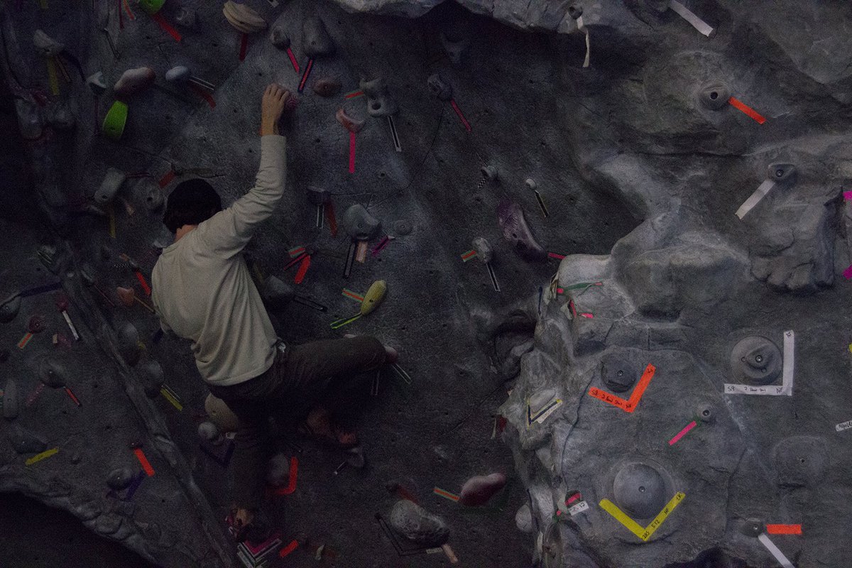 SFACampusRec's tweet photo. These climbers ROCK! The Rock Wall at Campus Rec is 34 feet tall with 11 top rope climbs and three sport lead routes. Want to hit the wall? 👀 the hours below! #SFARec #LumberjacksMakeGreatRockClimbers https://t.co/Oqb3jrdv05