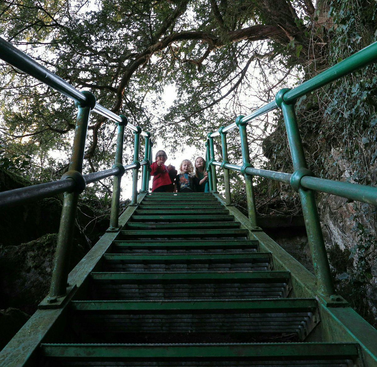 KennysTaxis's tweet photo. A fabulous climb up to the stunning Eagles Nest this afternoon with my little explorers #WyeValleyWalk #365steps #walking @DeanWye https://t.co/plaPYd0Agr