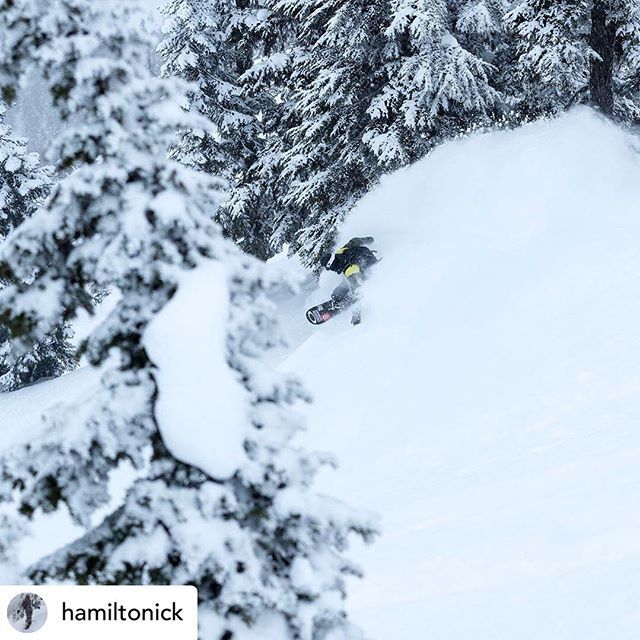 MSA Adventures tweet media