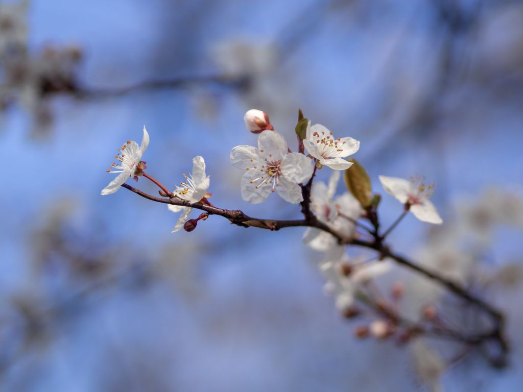 We’ve still got a month to go until spring, but we’re showing off some colour anyway!