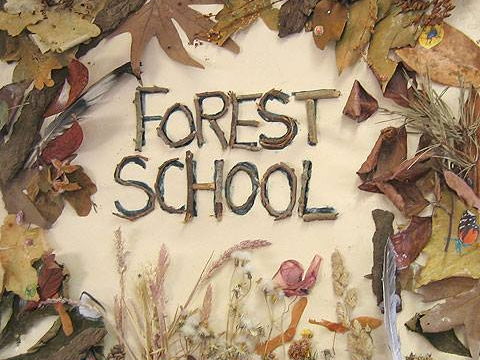 ASTLAP's tweet image. Butter Cove are looking forward to their next run of Forest School sessions!  They start again this Wednesday!  Please send your child in with appropriate clothing &amp;amp; footwear each Wednesday. #forestschool #learningoutdoors #ourlocalarea @forestandbeach @FtsThurlestone