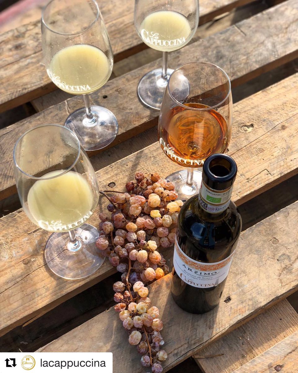 DalleVigne's tweet photo. Uno dei “gioielli” de @lacappuccina 

#Repost 
・・・
One day you should taste the very fresh juice of pressed ‘Arzimi’ before becoming ARZIMO after lots of days, meditation days, turning from yellow green to golden yellow, sweet but not too sweet https://t.co/hcUvLAKuJX