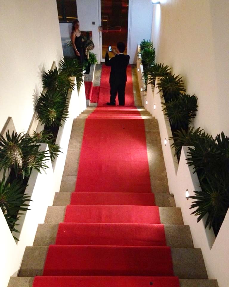 AZEROLaclinic's tweet photo. 🎉 #Oscar2019 🎬 Las fiestas de Vanity Fair, #Madonna, #ElthonJohn  y, por supuesto, #Azerolaclinic son las IMPRESCINDIBLES tras la fiesta del cine 🍸🍹 🤪
.
. ¿Sabías que los famosos utilizan la toxina botulínica (bótox) o la mesoterapia para estar «divinos» en la alfombra roja? https://t.co/qRSQBp41lv