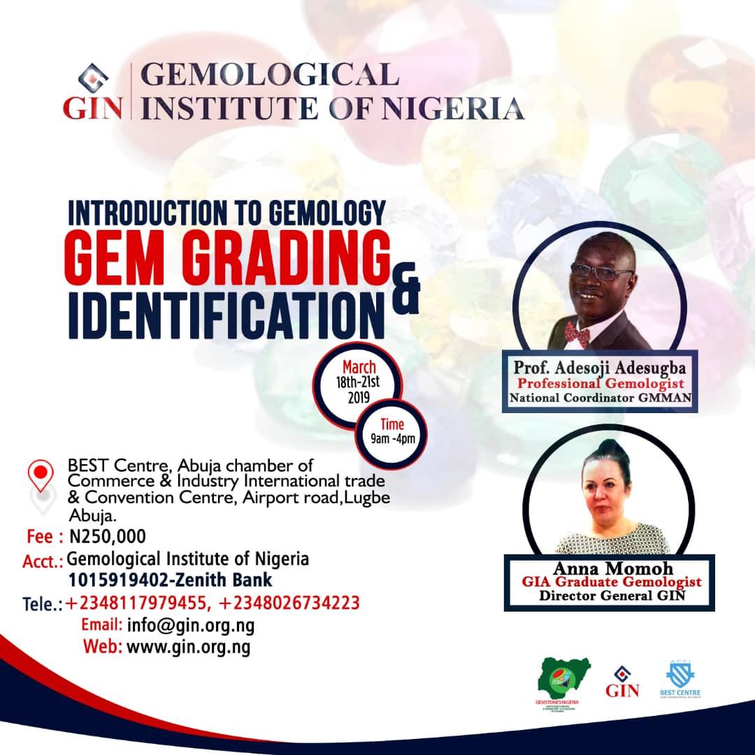 atinu4u's tweet photo. The Gemological Institute of Nigeria is organizing a training on Gem Grading and Identification scheduled to hold 18th-21st March 2019 at BEST Centre Abuja Chamber of Commerce and Industry. Call 08117979455 for further information #gemstones #nigeriagems#Mining #gemidentification https://t.co/x5OkBz9Rut