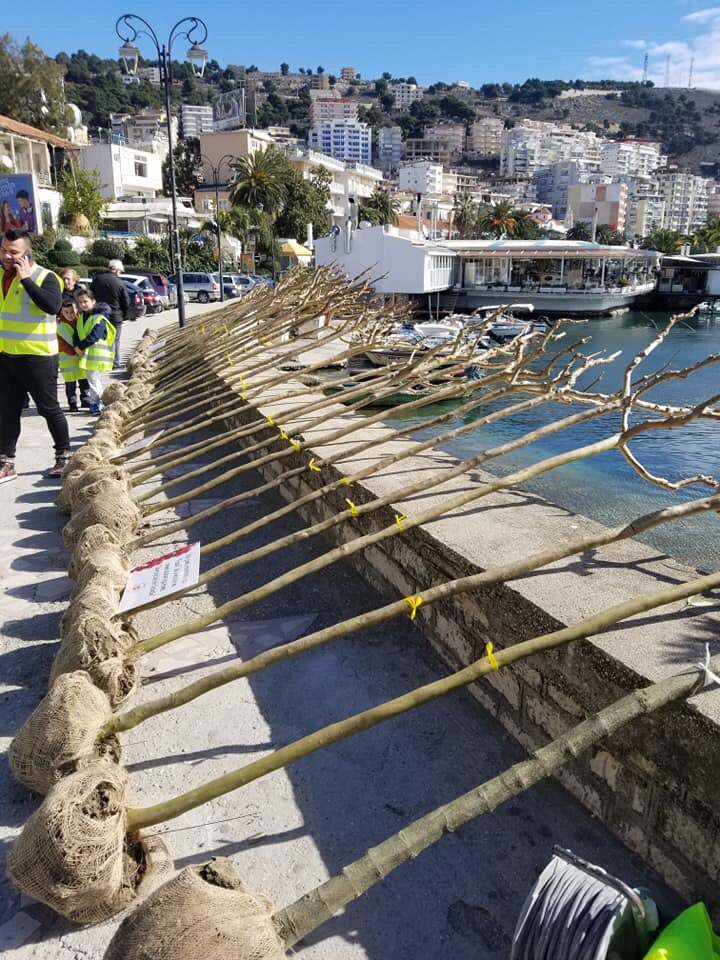 BlendiKlosi's tweet photo. Saranda po krijon oksigjenin e saj 🌳! Dhjetëra qytetarë, aktivistë të nismës “Dhuro një lule për Sarandën”, punonjës të bashkisë dhe aktivistë të EcoVolis mbjellin pemë për të gjelbëruar qytetin bregdetar
#krijoO2tend
#mbill5peme
#cleanandgreen2020
#smilealbania 🙂🇦🇱 https://t.co/6i4Zw2M10R