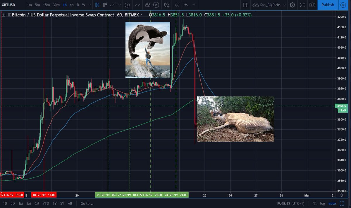 CryptoTrad€ tweet media